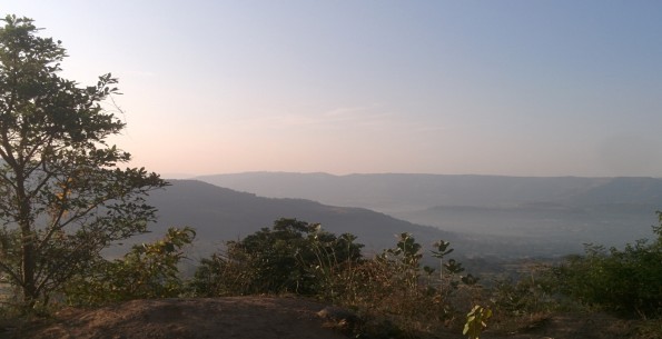 Picture credit: Prasad B. Kulkarni. Location: Valley side of Mutha ghat, Pune